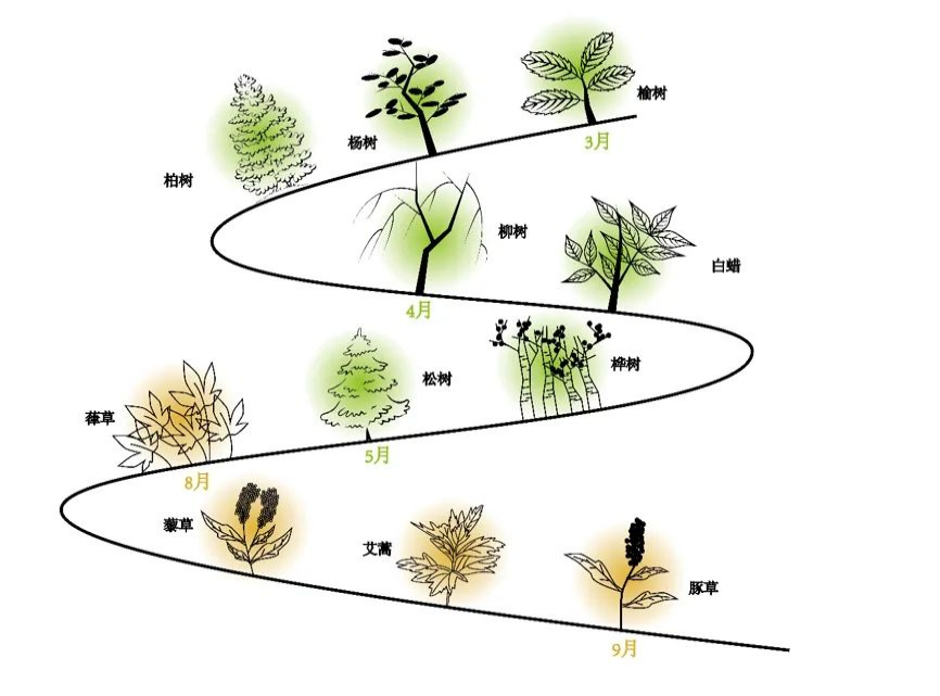 1741265959612.png 1741265959612.png